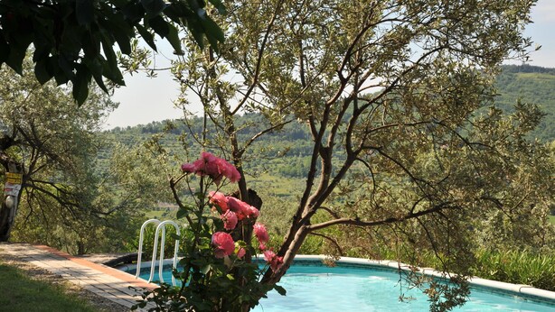 A swimming pool surrounded by lush greenery and trees, with a view of a hilly landscape in the background. - Elegante villa con piscina a soli 12 km da Firenze ideale per famiglie e gruppi (Toscana)
