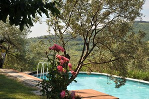 Une piscine entourée d’une végétation luxuriante et d’arbres, avec une vue sur un paysage vallonné en arrière-plan.