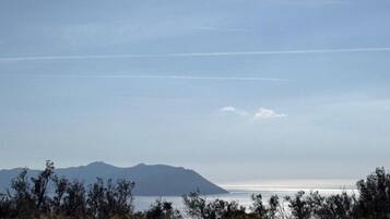 Bagian depan properti