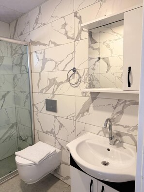 Shower, hair dryer, towels, toilet paper
