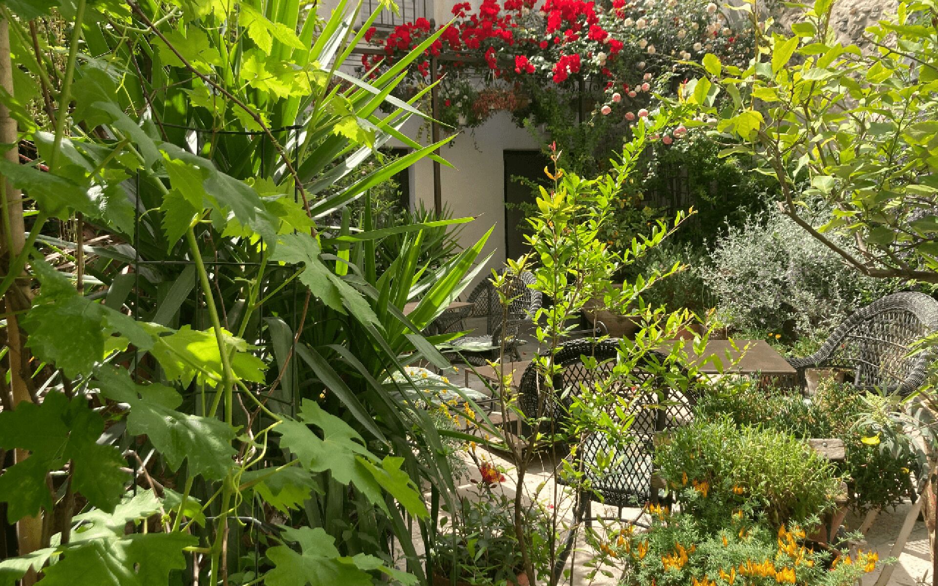 Un jardin agrémenté de diverses plantes et fleurs, une clôture en métal et du mobilier d’extérieur.