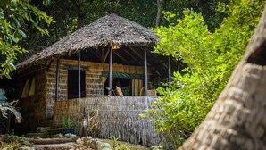 A rustic hut with a thatched roof, surrounded by lush greenery and a stone pathway leading to it. - Rimba Resort - Dive Centre and Spa (Sibu Island)