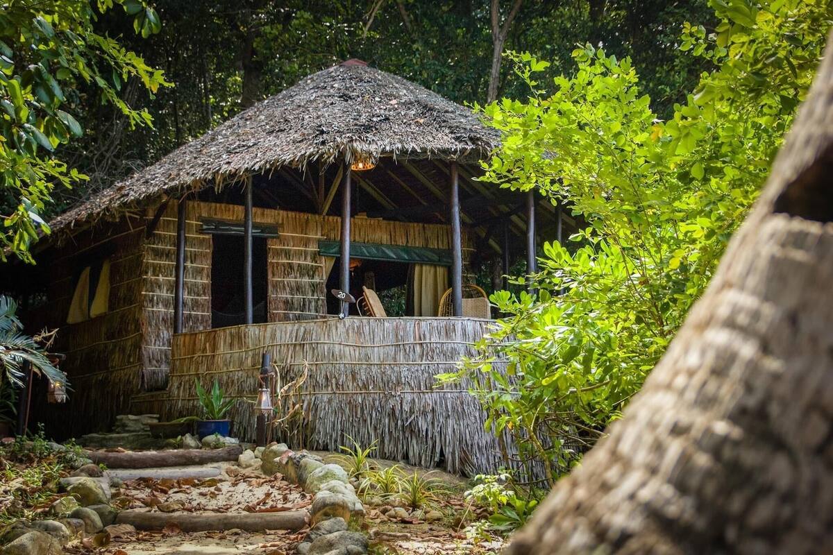A rustic hut with a thatched roof, surrounded by lush greenery and a stone pathway leading to it.