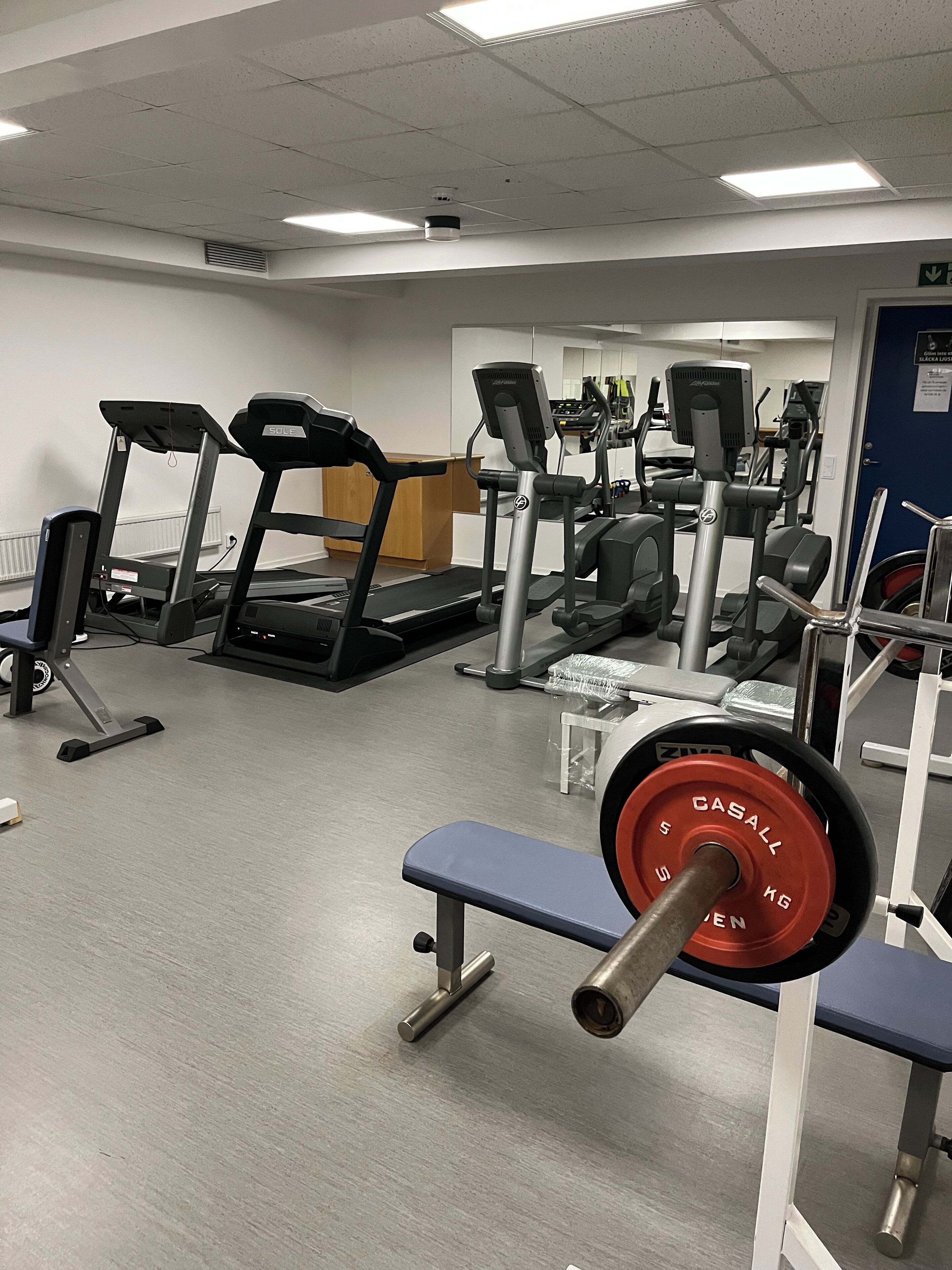 A gym with treadmills, weight machines, and a bench.