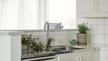 Full-sized fridge, microwave, oven, stovetop