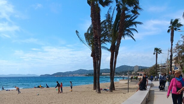 Una playa con un paseo de hormigón, palmeras y gente caminando.