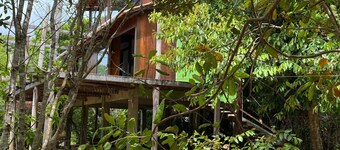 Boipeba, home in nature. Peace and tranquility on the island of Boipeba.