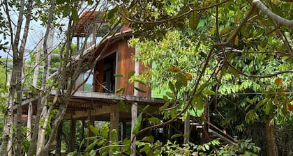 Boipeba, home in nature. Peace and tranquility on the island of Boipeba.