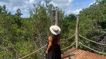 Àrea exterior de l'allotjament