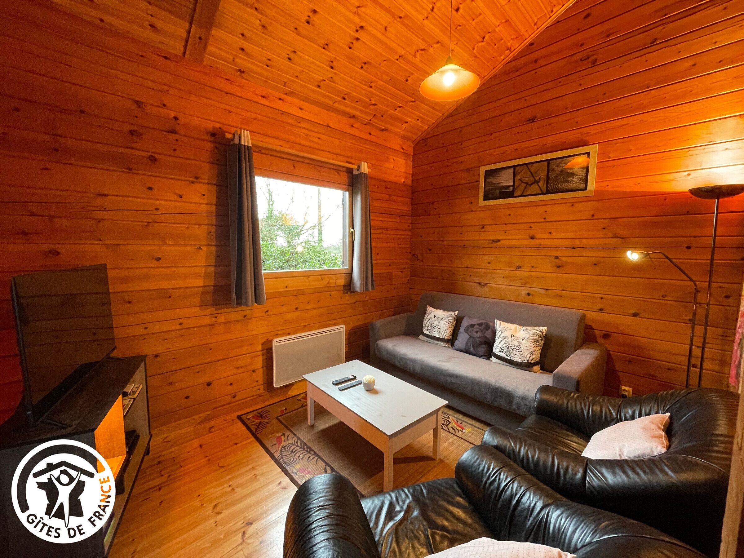 Télévision, table de tennis de table