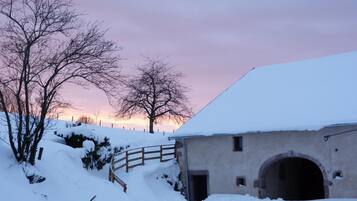 Extérieur