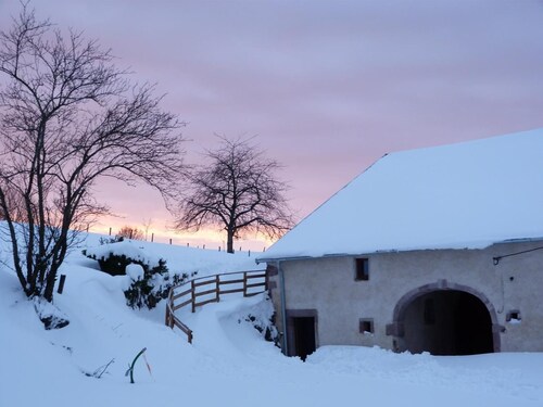 Gîte Vosges : nature, cheminée, animaux acceptés