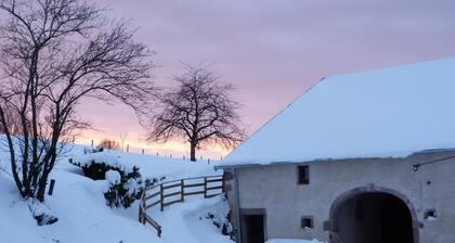 Gîte Vosges : nature, cheminée, animaux acceptés