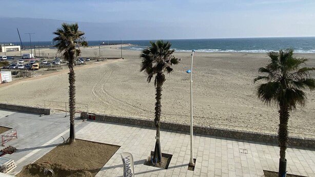 A beach view with palm trees, a paved walkway, and a distant ocean.