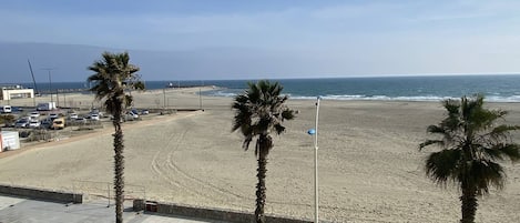 A beach view with palm trees, a paved walkway, and a distant ocean.