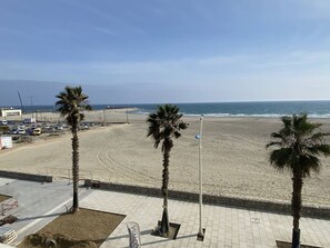 A beach view with palm trees, a paved walkway, and a distant ocean.