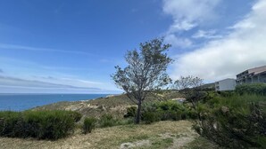 A coastal landscape with a clear sky, a tree, and a building in the background. - Modern 2-room apartment with parking and Wi-Fi in Banyuls-sur-Mer (Banyuls-sur-Mer)