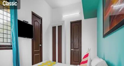 Vibrant stay