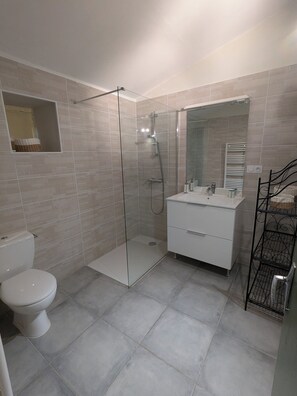 Hair dryer, towels, toilet paper