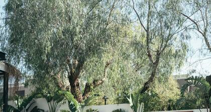 Primus Nefes Adults Only