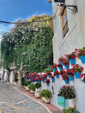 Villa, 3 Bedrooms, Accessible, Smoking | Garden - Villa With Pool, Walk to Beach, Restaurants, Shops (Mijas)