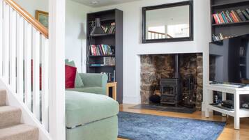 TV, fireplace, DVD player