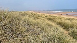 Ein Strand mit Dünen und blauem Himmel.