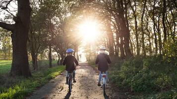 Zwei Radfahrer auf einem unbefestigten Weg, umgeben von Bäumen, wobei die Sonne durch das Blätterdach scheint.