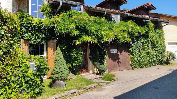 Ein traditionelles Holzhaus mit einem steilen Satteldach, einem Holztor und einem üppigen Garten mit verschiedenen Pflanzen und einem kleinen Baum.