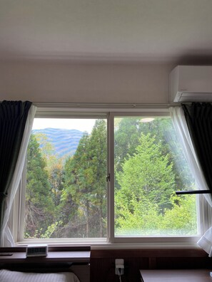Chambre simple, non-fumeur, salle de bains commune (Shared Shower room and Toilet) | Vue de la chambre