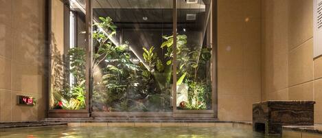 Un área de spa con pared de vidrio, un baño de aguas termales y plantas de interior.