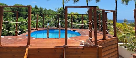 Enjoy a refreshing swim in the pool surrounded by lush palm trees.