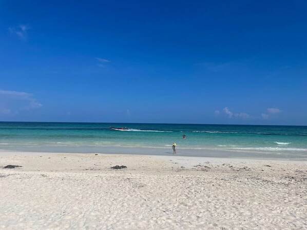 Nära stranden