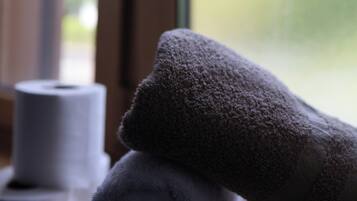 A rolled towel and a roll of toilet paper on a surface near a window.