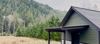 Olympic Mountain View Cottage Near Lake Crescent