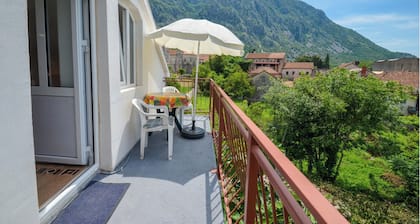 Charming 1-bedroom apartment in welcoming Risan with WiFi, AC