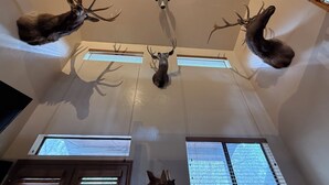 Ein Zimmer mit hohen Decken, verziert mit an Wänden angebrachten Hirschköpfen. Es gibt zwei Fenster mit Jalousien, und ein Türrahmen ist im unteren Bereich sichtbar.