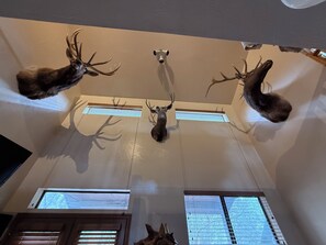 Interior - Working Ranch Home 100% off the grid in Williams, AZ (Williams)