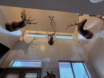 Working Ranch Home 100% off the grid in Williams, AZ