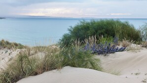 A coastal landscape with sand dunes, sparse vegetation, and a distant view of the sea under a cloudy sky. - TAIGA Tarifa Valdevaqueros (Tarifa)