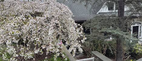 المنطقة المحيطة بالمنشأة