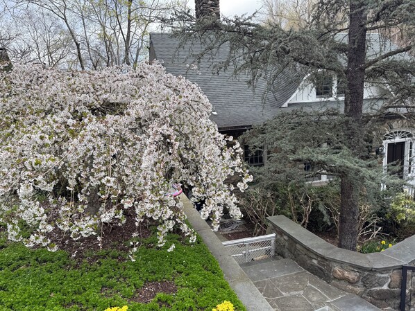 Property grounds - Eaglefest time! Plus stunning winter views of Croton River Gorge, a birder haven (Croton-on-Hudson)