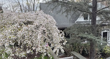 Eaglefest time! Plus stunning winter views of Croton River Gorge, a birder haven