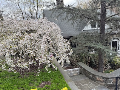 Spring flowers coming up. Pus great views of Croton River Gorge, a birder haven