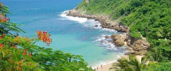 Beach - Charming 1-bedroom apartment with WiFi, AC in fabulous Puerto Escondido (Puerto Escondido)