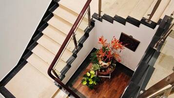 A staircase with a black railing, wooden steps, and a small indoor garden with plants and flowers.
