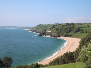 Beach - The Granary (Totnes)