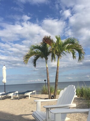 Beach - Dulce La Donna by the beach (Milford)