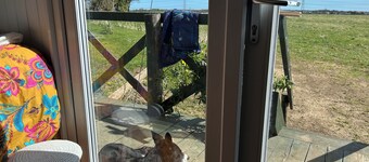 Cosy dog friendly shepherds hut near Durham