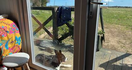 Cosy dog friendly shepherds hut near Durham